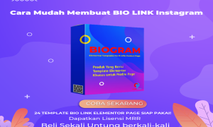 Biogram 24 Json Biopage Elementor Lisensi MRR