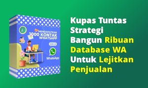Strategi Rahasia Dapat 1000 Kontak WA